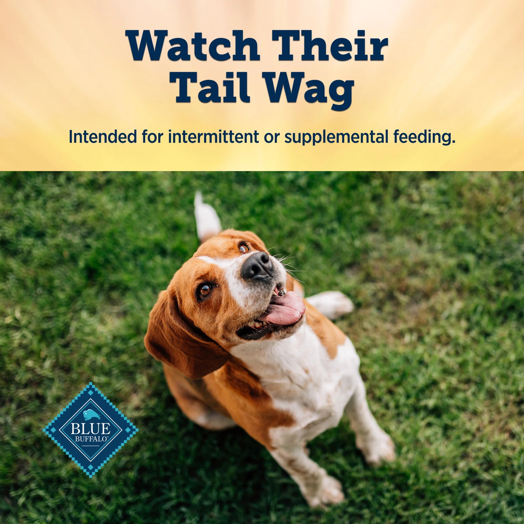 Premium Jerky Cuts Natural Dog Treats, Chicken, 22Oz Bag