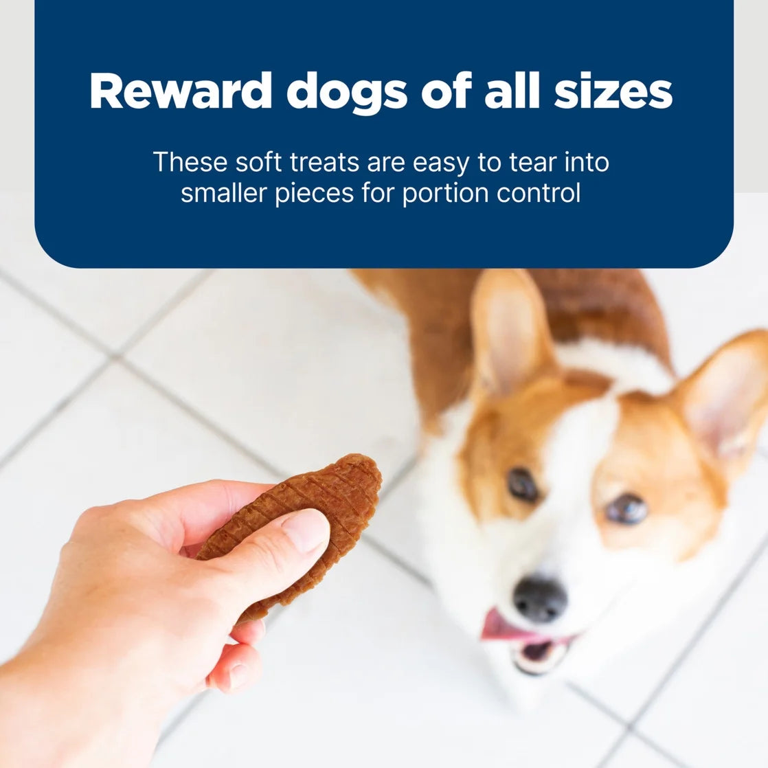 Nudges Jerky Cuts Dog Treats, Chicken, 16-Oz. Bag