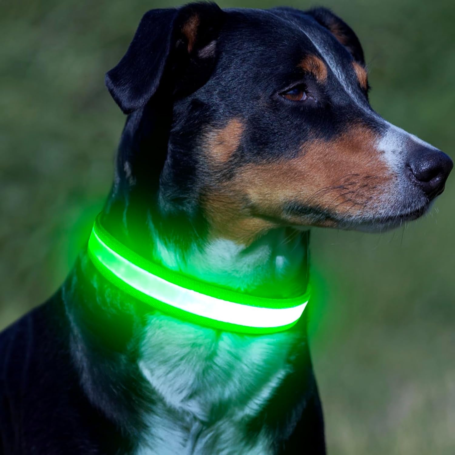 LED Dog Collar, Light up Dog Collar Adjustable USB Rechargeable Super Bright Safety Light Glowing Collars for Dog(Small,Green)