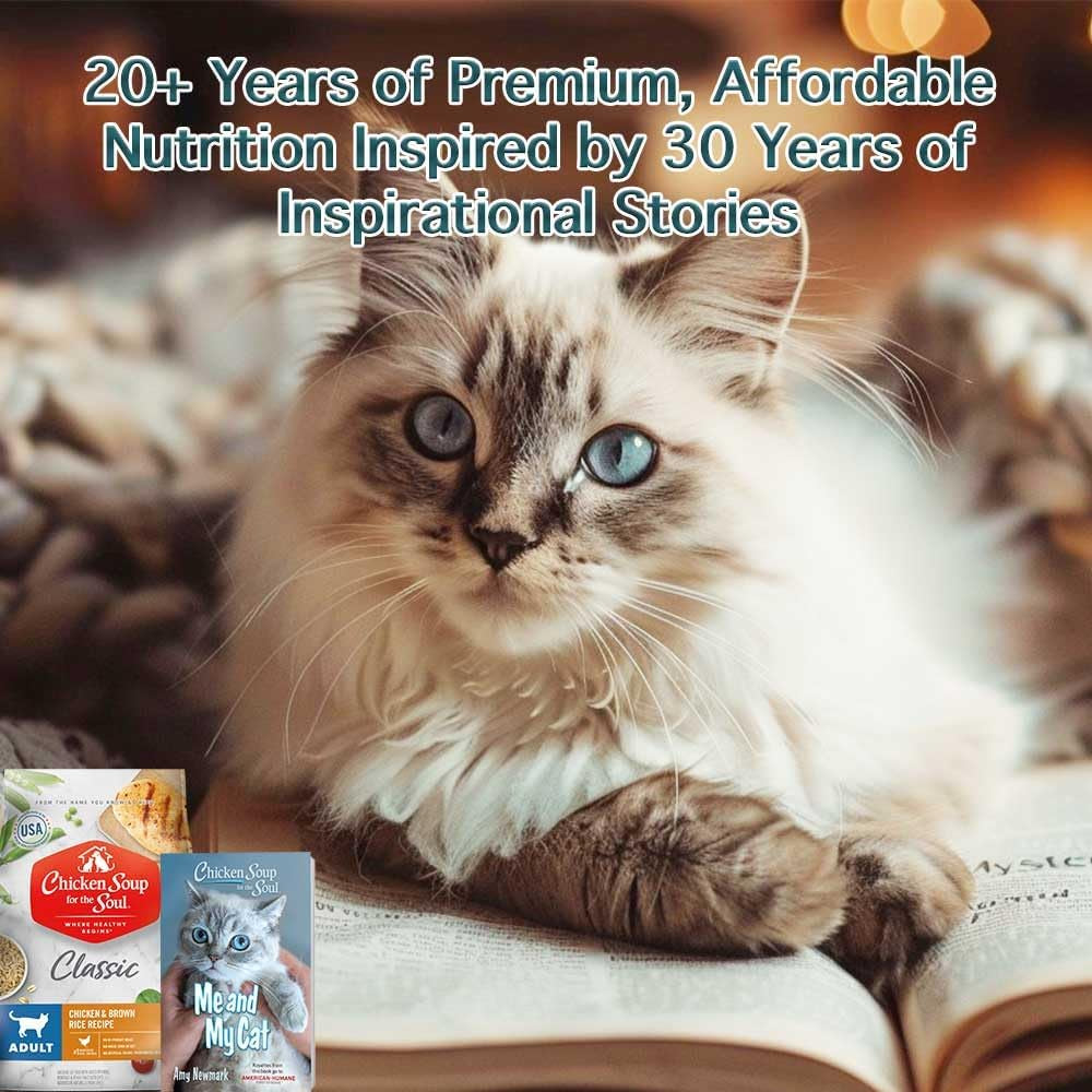 All Natural Premium Adult Dry Cat Food, Real Meat First Ingredient, No By-Products, Supports Heart, Gut & Immune Health, Chicken & Brown Rice, 4.5Lb