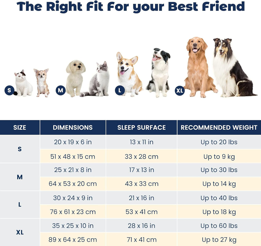 Cat Bed for Indoor Cats Washable Removable Cover - Small Pet Bed with Side Square Dog Bed Rectangle Soft Puppy Bed Bolster Cuddle Kitten Bed with Wall Slip-Resistant Bottom, Brown 20 Inch