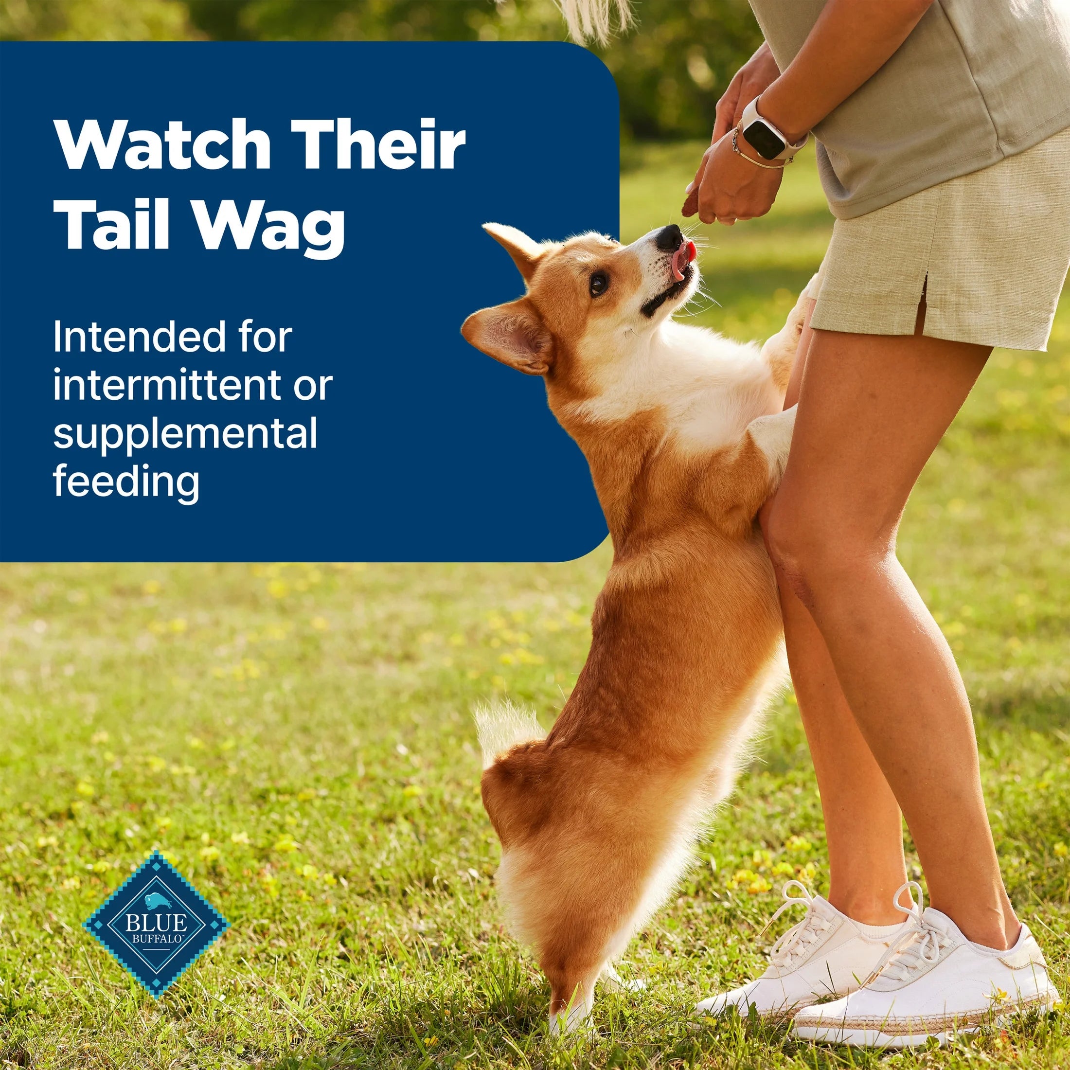 Nudges Grillers Natural Dog Treats Made with Real Steak, 16-Oz. Bag