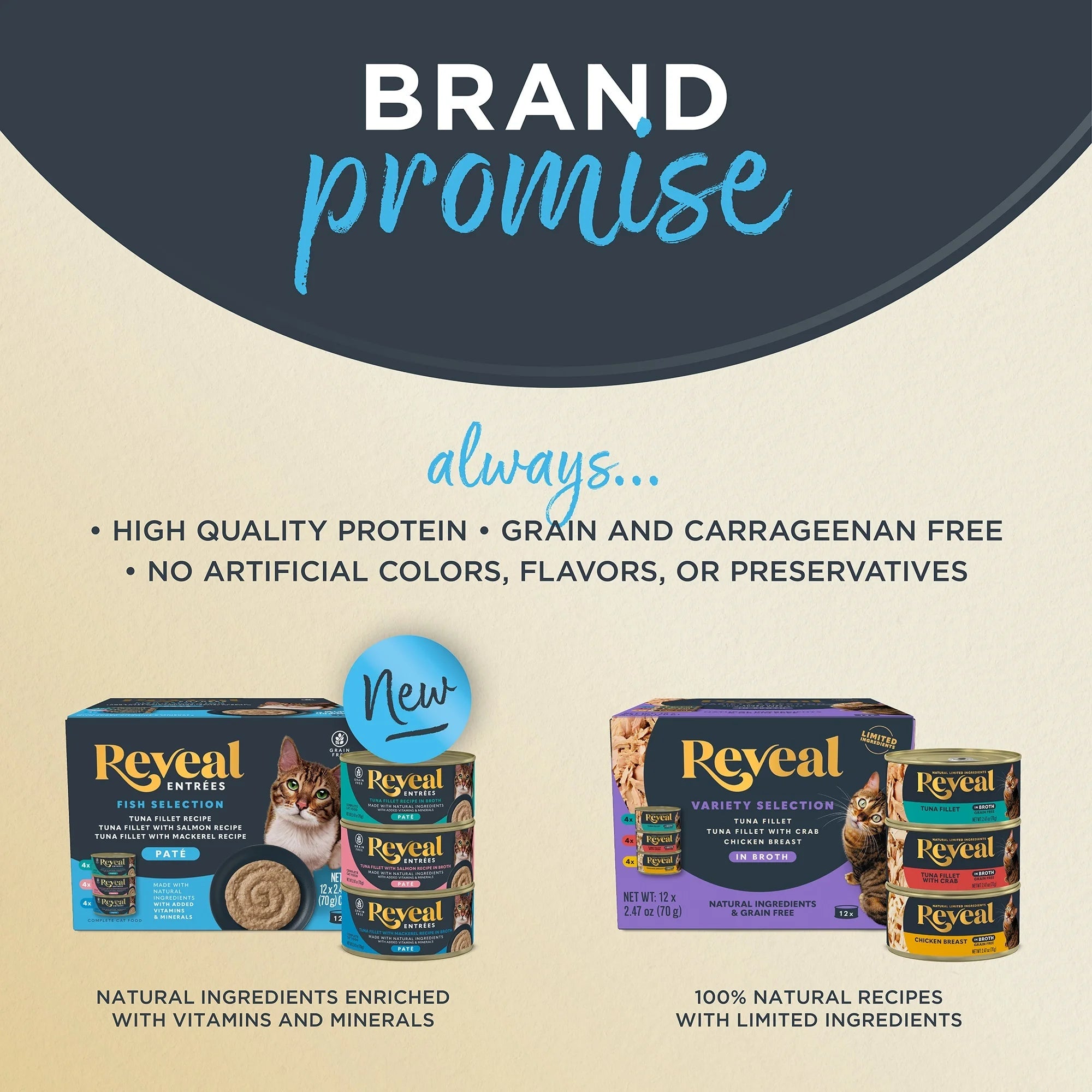 Wet Kitten Food, Tuna Fillet in Broth, 12 Pack of 2.47Oz Cans