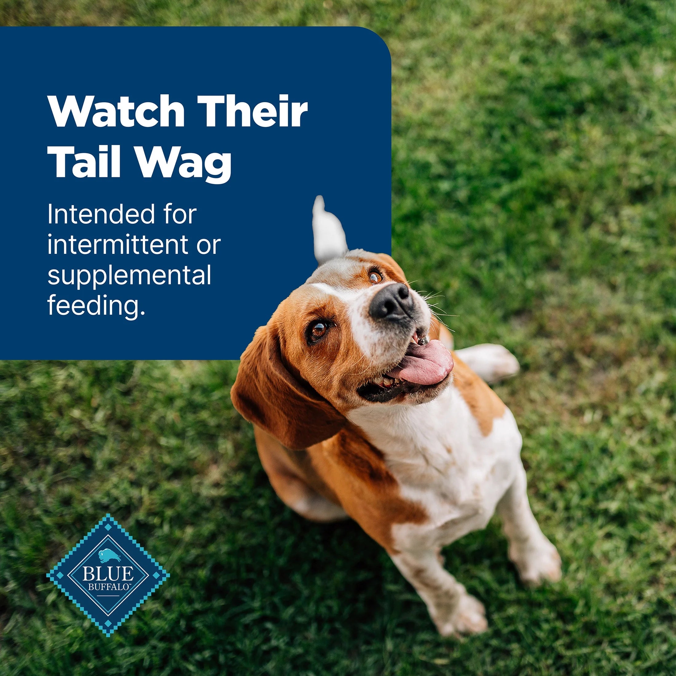 Nudges Jerky Cuts Dog Treats Made with Real Chicken & Duck, 36-Oz. Bag