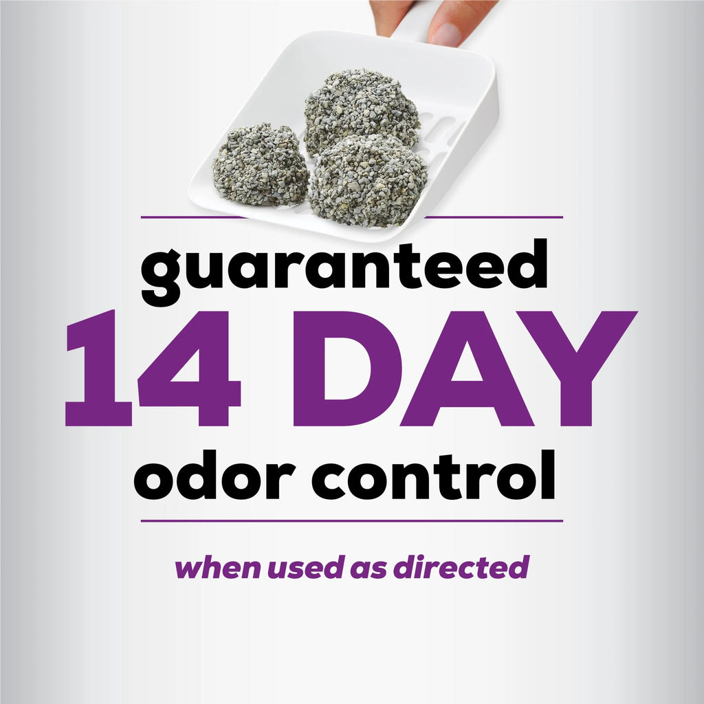 (4 Pack) Purina  Tidy Feet Clumping Cat Litter, Low Dust, 24/7 Odor Control, 20 Lb. Jug