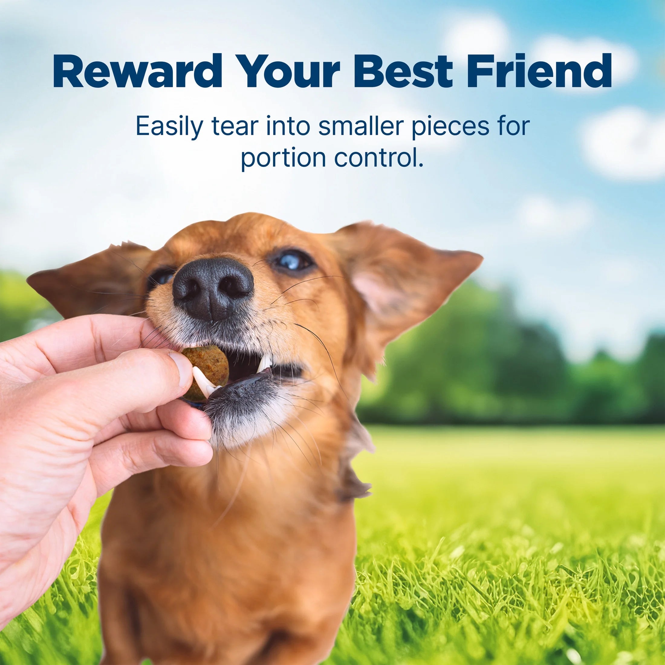 Nudges Homestyle Natural Dog Treats Made with Real Beef, 16-Oz. Bag