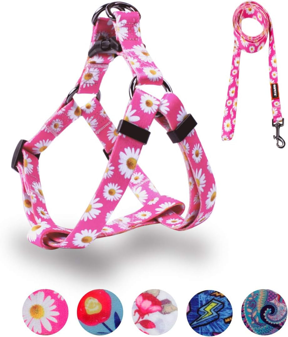 Dog Harness Leash Set Adjustable Heavy Duty No Pull Halter Harnesses for Small Medium Large Breed Dogs Back Clip Anti-Twist Perfect for Walking (S(14"-20" Chest Girth), Daisy)