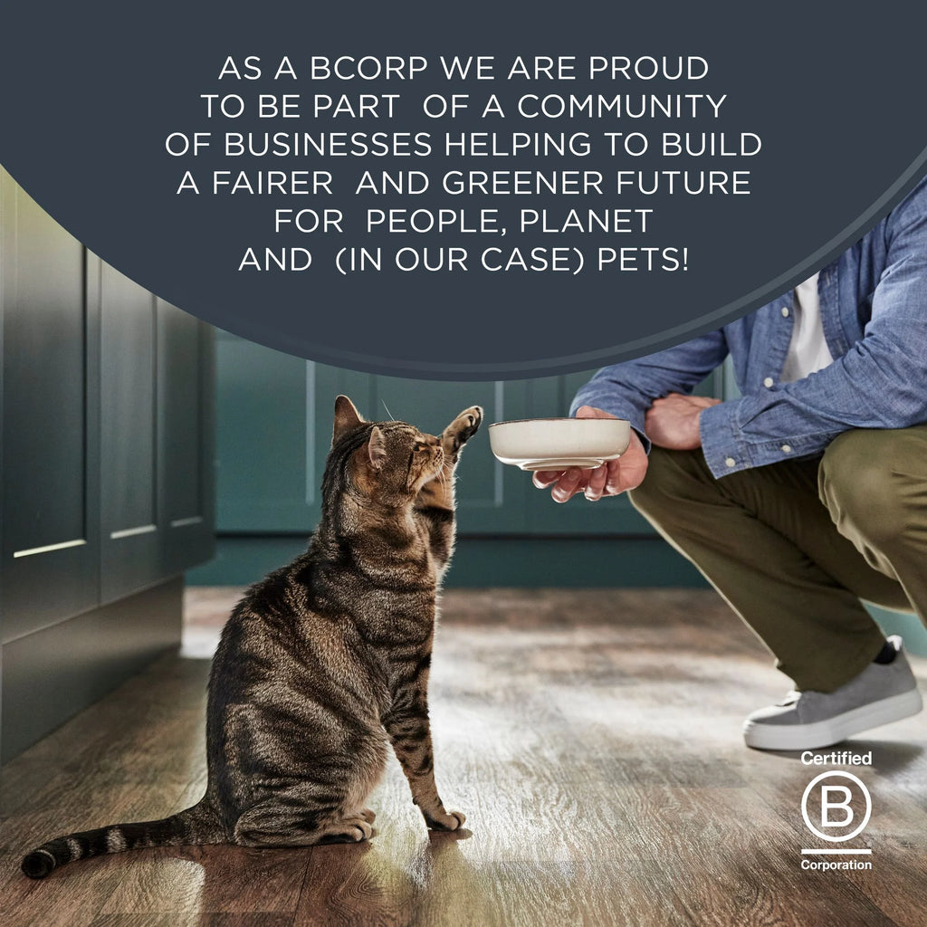 , Natural Wet Cat Food, Chicken in Broth Variety Pack, 2.47 Oz Cans