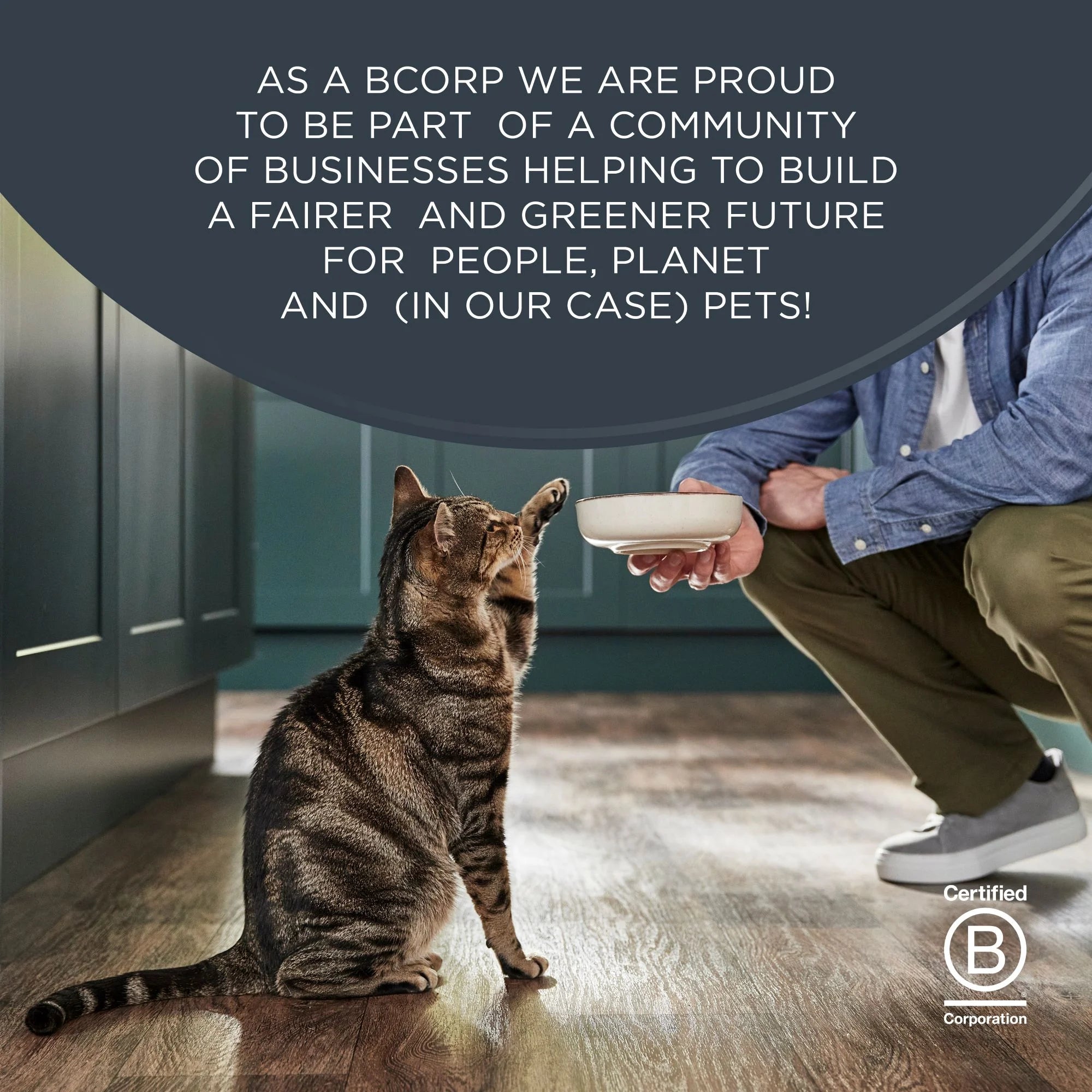 , Natural Wet Cat Food, Chicken in Broth Variety Pack, 2.47 Oz Cans