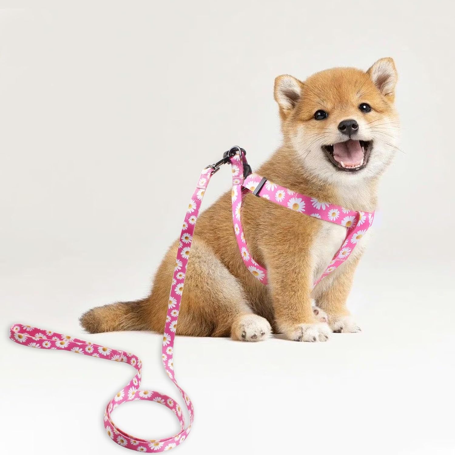 Dog Harness Leash Set Adjustable Heavy Duty No Pull Halter Harnesses for Small Medium Large Breed Dogs Back Clip Anti-Twist Perfect for Walking (S(14"-20" Chest Girth), Daisy)