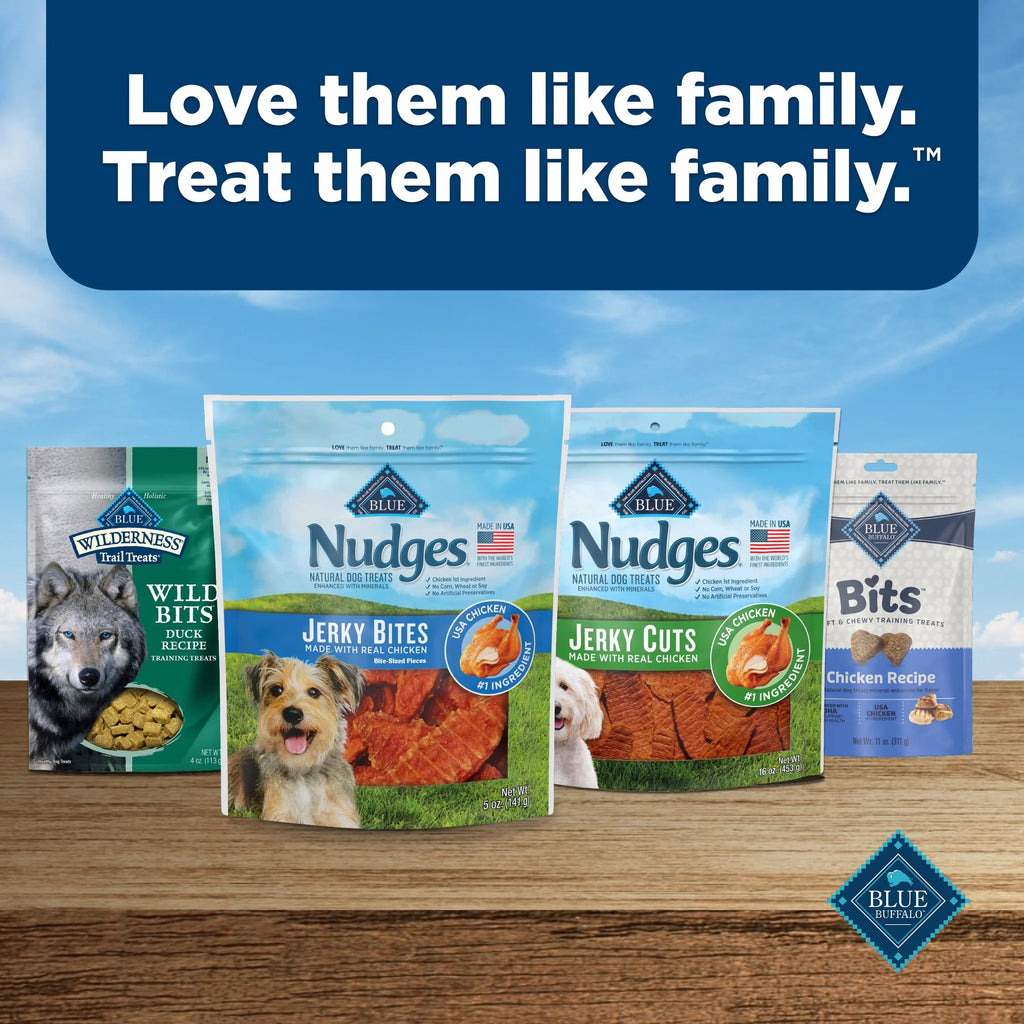 Nudges Tender Jerky Dog Treats, Chicken Recipe, 5-Oz. Bag
