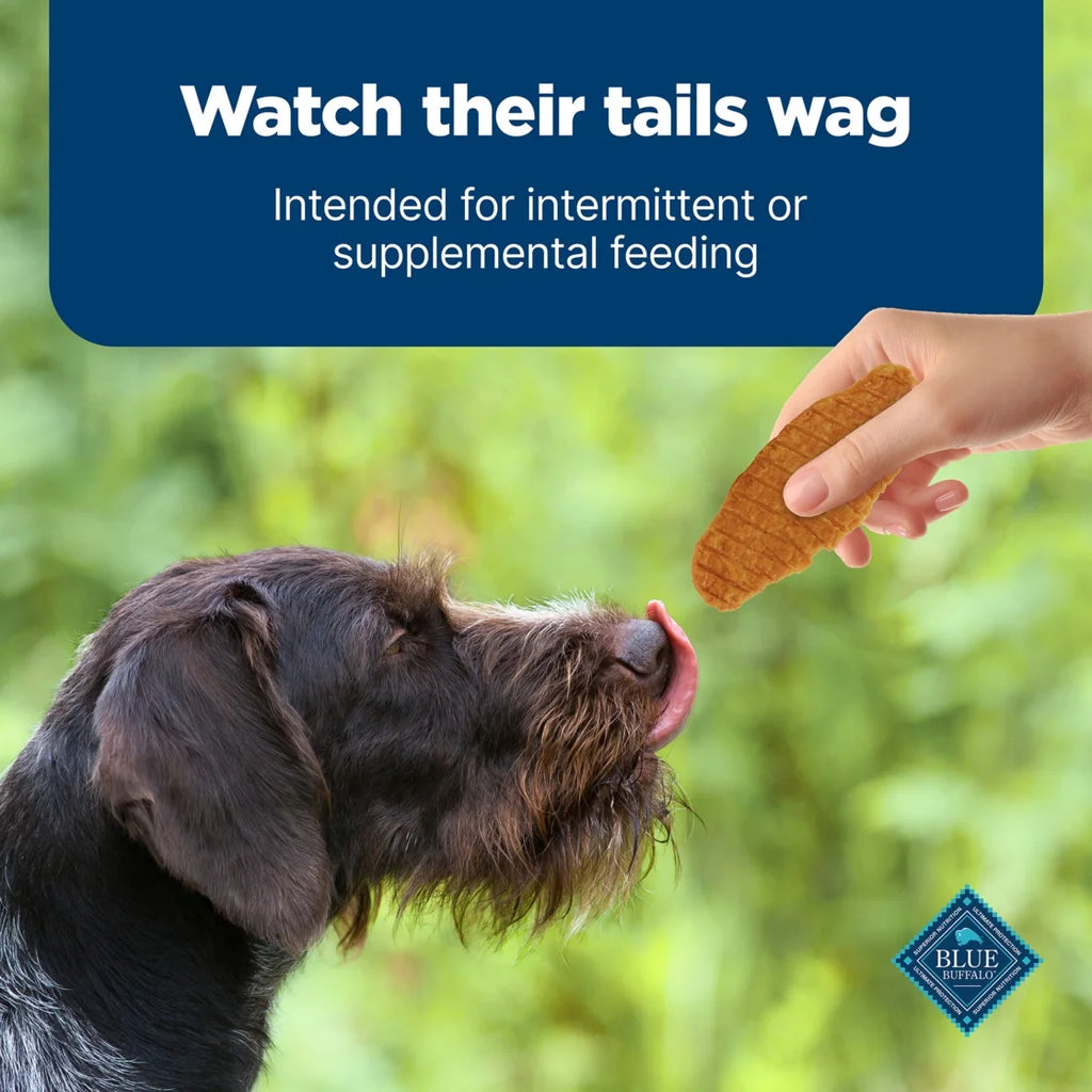 Nudges Jerky Cuts Dog Treats, Chicken, 16-Oz. Bag