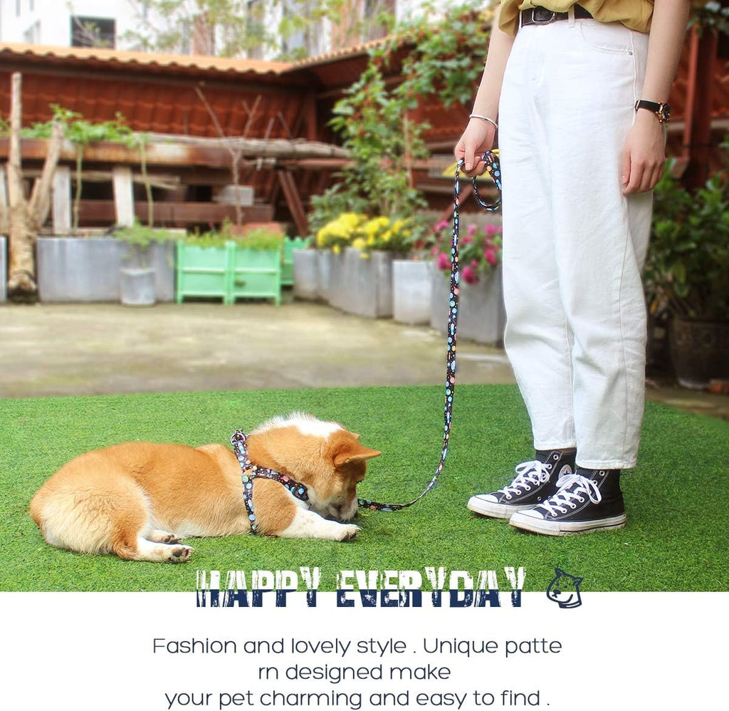 Dog Harness Leash Set Adjustable Heavy Duty No Pull Halter Harnesses for Small Medium Large Breed Dogs Back Clip Anti-Twist Perfect for Walking (XS(12"-18" Chest Girth), Space)