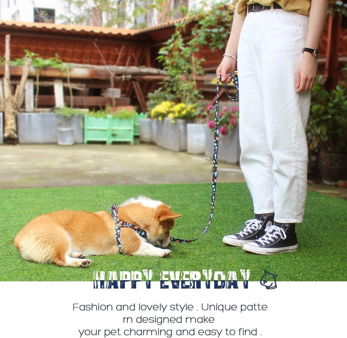 Dog Harness Leash Set Adjustable Heavy Duty No Pull Halter Harnesses for Small Medium Large Breed Dogs Back Clip Anti-Twist Perfect for Walking (XS(12"-18" Chest Girth), Space)