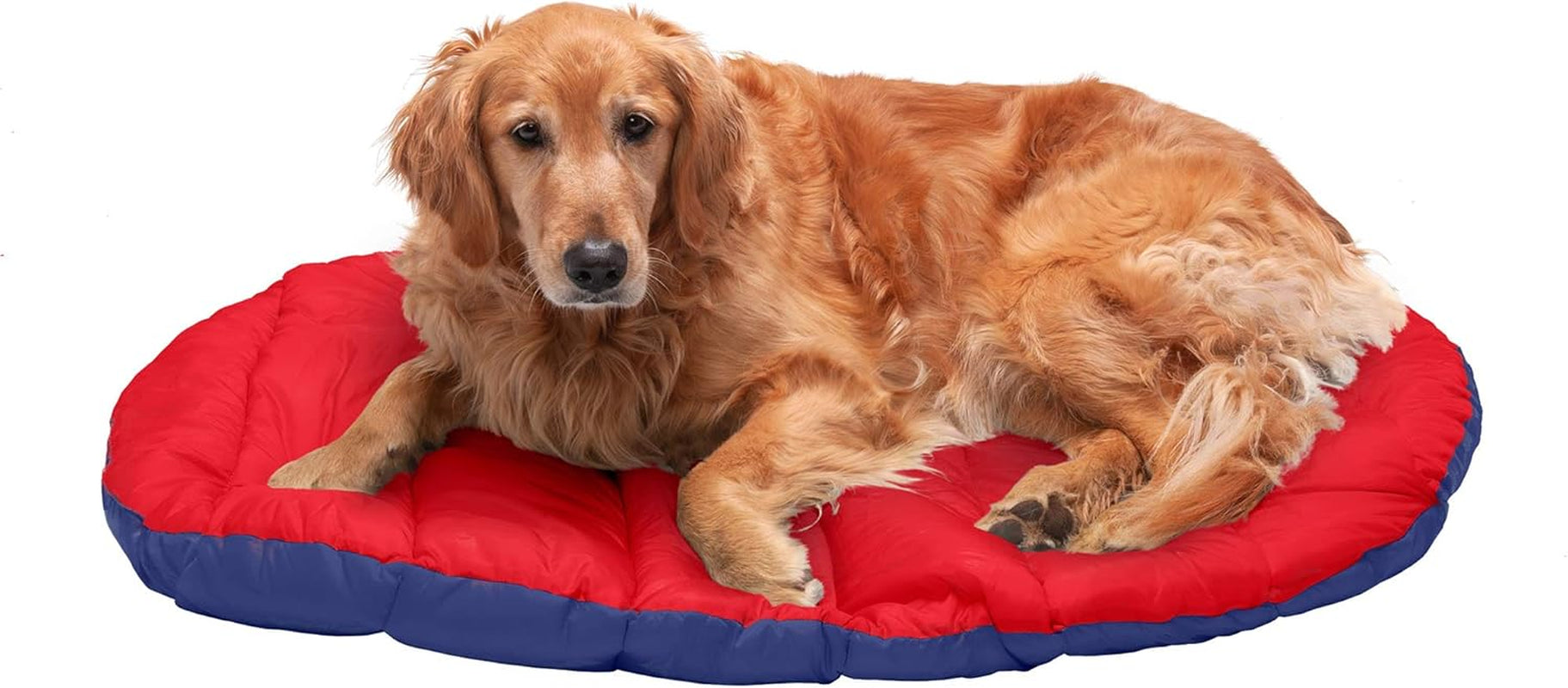 Outdoor Travel Dog Bed for Large/Medium Dogs W/ Carry Bag, Washable & Foldable, Great for Crates & Kennels - Trail Pup Travel Pillow Mat W/ Stuff Sack Bag - Flame Red/True Blue, Large